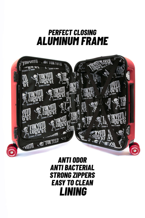 SKATE SUITCASE 